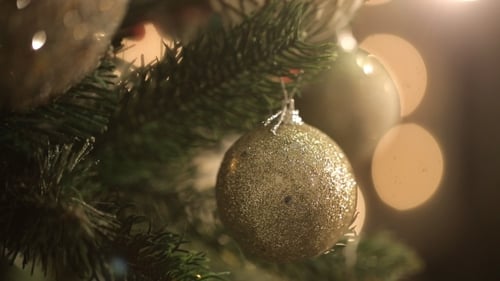 Hanging Ornament on Christmas Tree Branch at Home