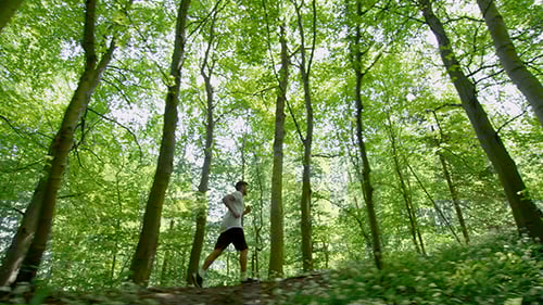 Man Running Through Green Forest On Sunny Day