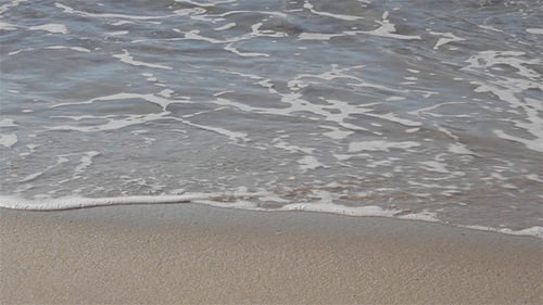 Beach Shore