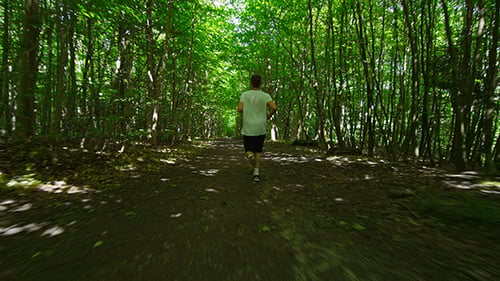 Young Adult Running Through Forest, Exercising