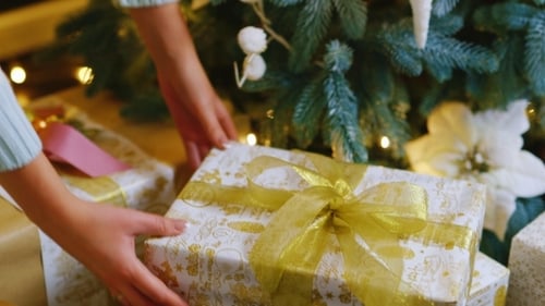 Christmas Presents Under Decorated Christmas Tree