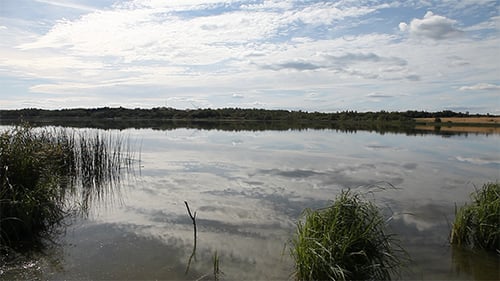 Lago Rushy