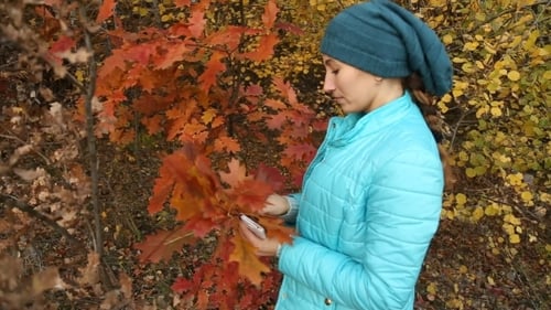 Woman Admiring Autumn Leaves in Woodland Area