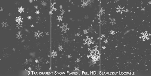 Transparent Falling Snow Overlay for Winter Scenes