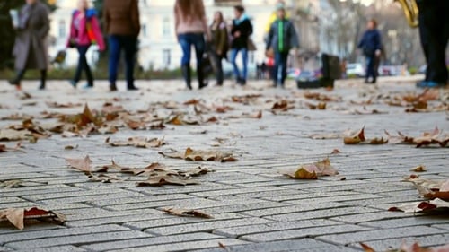 Autumn Leaves on City Walkway