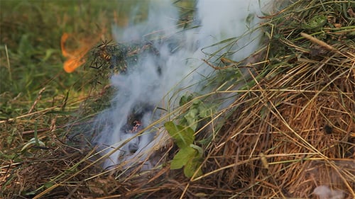 Burning Pile of Dry Grass and Leaves