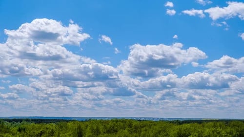 Timelapse of Cumulus Clouds Moving in the Blue Sky Over the Green Horizon Trees