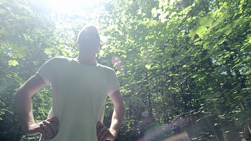 Man Looking Up at Trees in Forest Sunlight