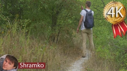 Hiker Walks Along Forest Path on Cloudy Day