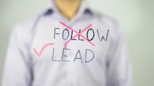 Follow or Lead, Illustration on Transparent Screen