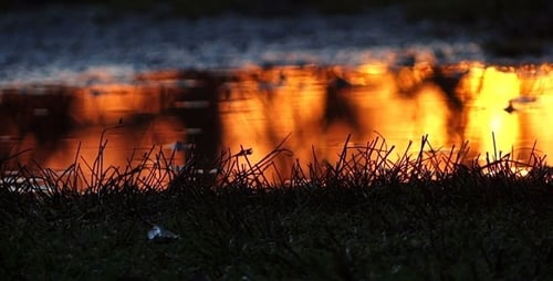 Sunset Pond and Grass