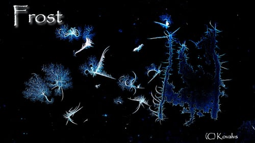 Growing Ice Crystals on Black Background