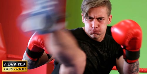 Intense Boxer Training in Gym with Punching Drills