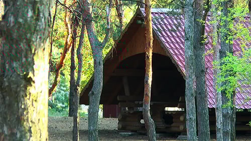 Gazebo in the Woods Built of Logs