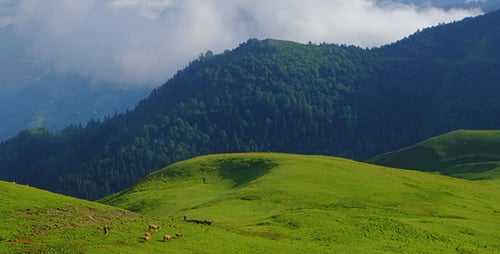Mountain Landscape with Green Hills and Fog