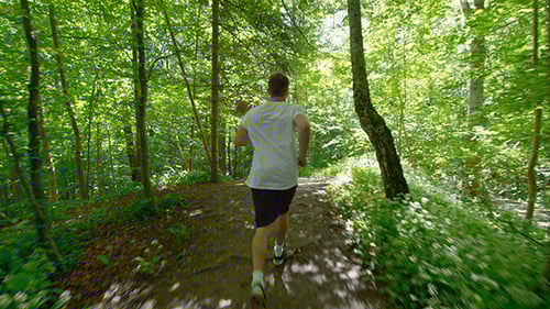 Sporty Young Man Running On Trail