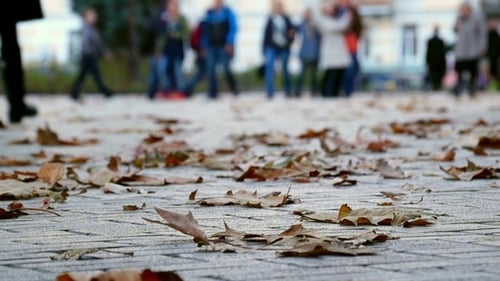 Autumn Leaves and Pedestrians in Urban Setting