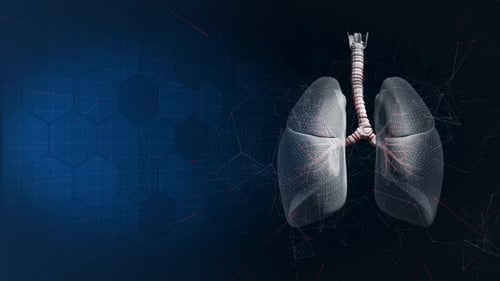 Pulmones en un contexto científico