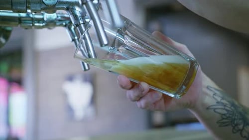 Pub, Male Bartender Pours Cool Draft Beer Into a Transparent Glass Using a Beer Brewer, Summer