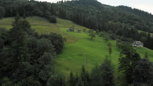 Majestic Mountain Wild Forest Slopes