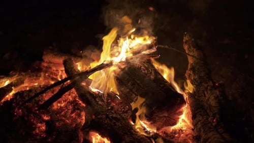 Bonfire Burning Trees at Night. Bonfire Burning Brightly, Heat, Light, Camping, Big Bonfire, Close