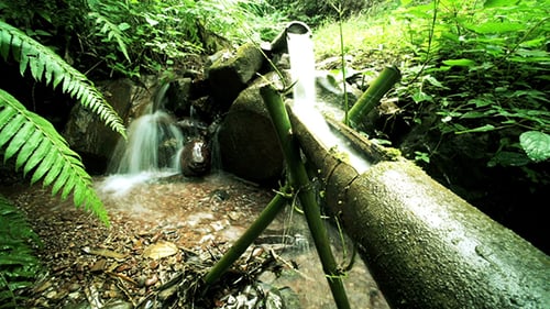 Água de bambu 27