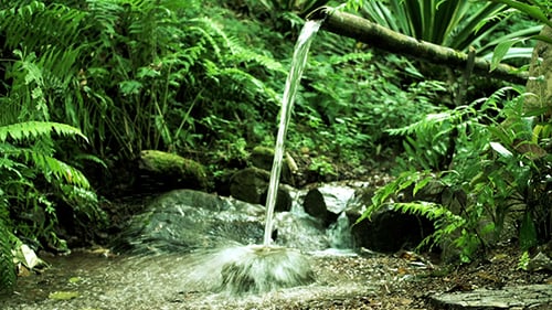 Água de bambu Feature 19