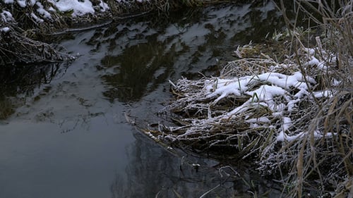 Rime at Dry Grass and River Winter Background
