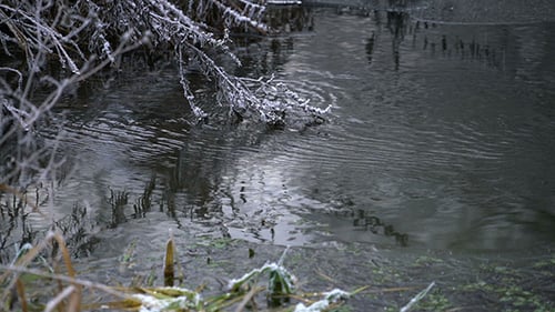 River Flowing thru Winter Forest