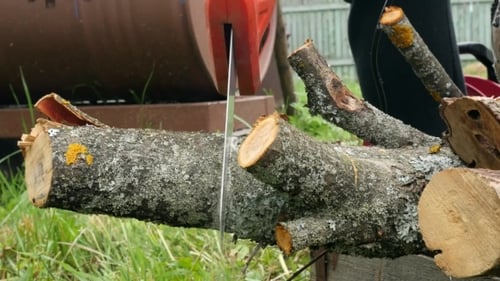 Lumberjack Working With Saw