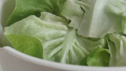 Heap of lettuce leaf vegetable slow tilt 4K 2160p 30fps UltraHD footage - Green Lactuca sativa sala