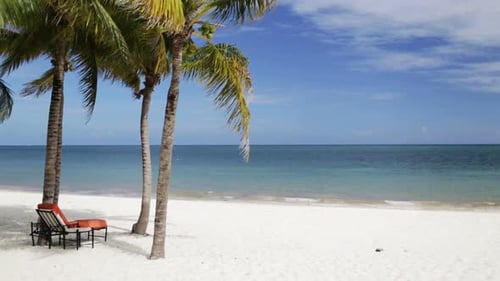 Tropical Beach With Palm Trees And Lounge 1