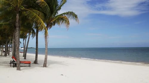 Tropical Beach With Palm Trees And Lounge 2