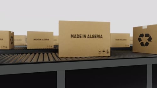 Boxen mit MADE IN Algeria Text auf Förderband