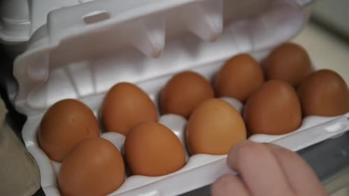 Storefront. Choice of Chicken Eggs