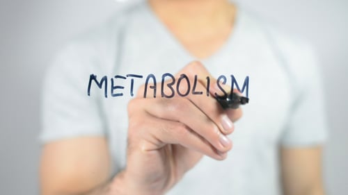 Metabolism