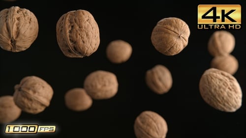 Flying Walnuts in Shells