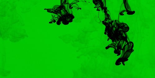 Black Ink Plumes on Green Screen Background
