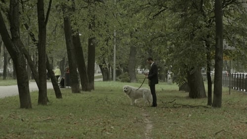 Man in Suit Walking White Dog in Park