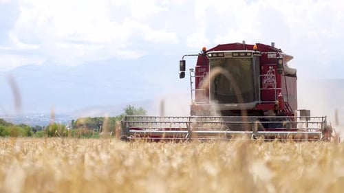 Combine harvester working on a barley field on sunny summer day