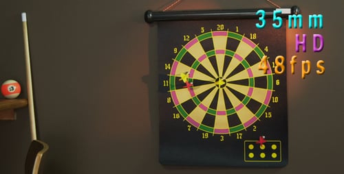 Target Dartscheibe 02