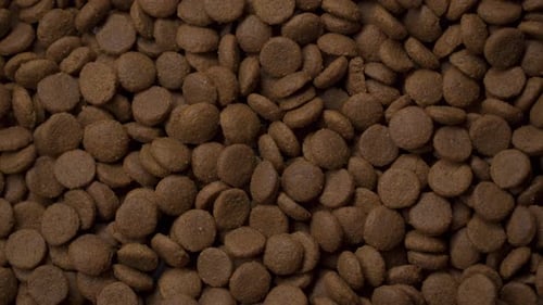 Healthy Dry Food for Dog or Cat on Rotating Stand