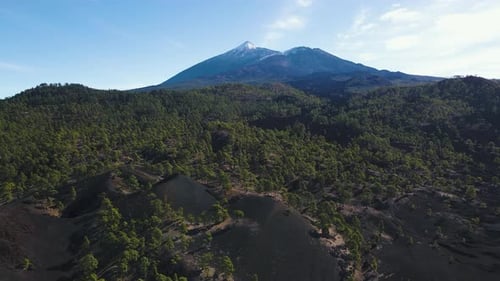 Incredible Aerial Views of Lava Forests in Teide Volcano National Park