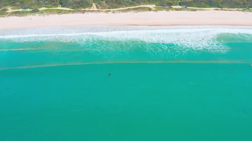 Aerial View of Surfers Waiting Ocean Waves