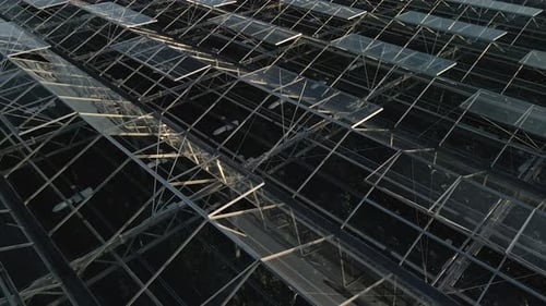 Aerial View of Industrial Glass Greenhouse Structure