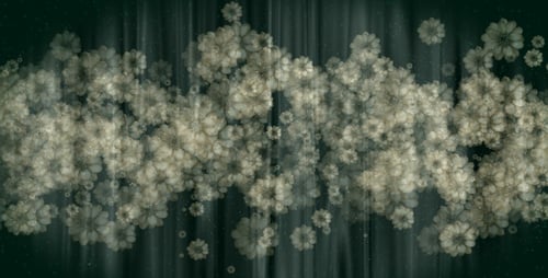 Spring Flowers