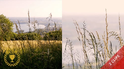 Countryside and Lake