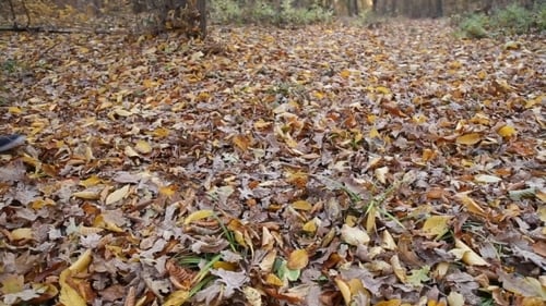 Paar geht in der Natur spazieren