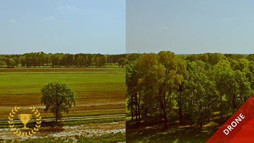 Aerial View of Verdant Rural Landscape in Daytime