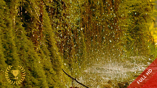 Waterdrops